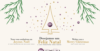 Feliz Ano Novo! Feliz Ano Novo!